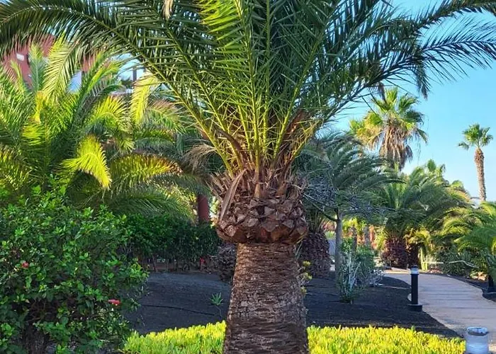 Casa Catherine Oasis Tamarindo Corralejo