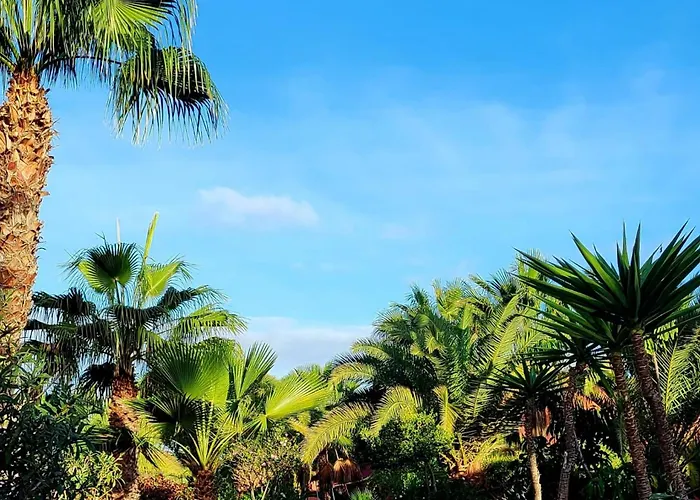 Casa Catherine Oasis Tamarindo Apartamento Corralejo