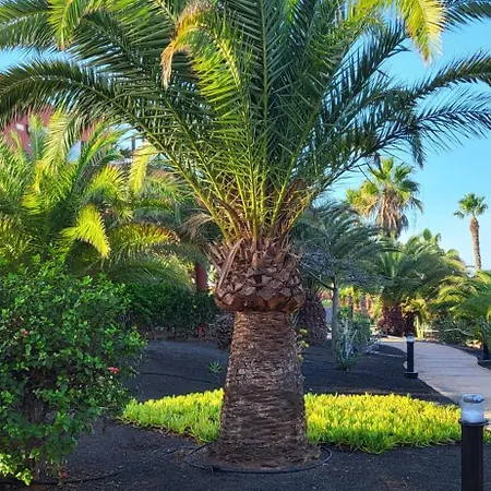 Casa Catherine Oasis Tamarindo Corralejo